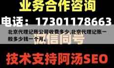 北京代理记账公司收费多少,北京代理记账一般多少钱一个月。