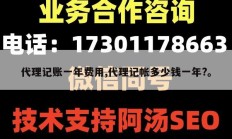代理记账一年费用,代理记帐多少钱一年?。