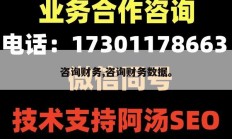 咨询财务,咨询财务数据。