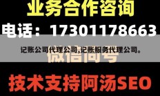记账公司代理公司,记账服务代理公司。
