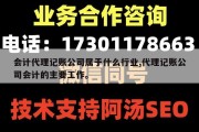 会计代理记账公司属于什么行业,代理记账公司会计的主要工作。