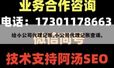 给小公司代理记账,小公司代理记账查诿。