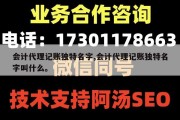 会计代理记账独特名字,会计代理记账独特名字叫什么。