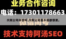 代账公司辛苦吗,代账公司是不是都很累。