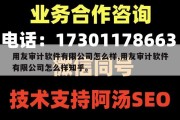 用友审计软件有限公司怎么样,用友审计软件有限公司怎么样知乎。