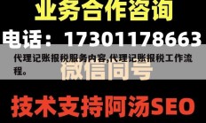 代理记账报税服务内容,代理记账报税工作流程。